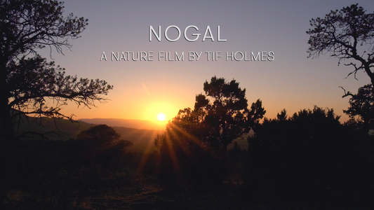 Nogal