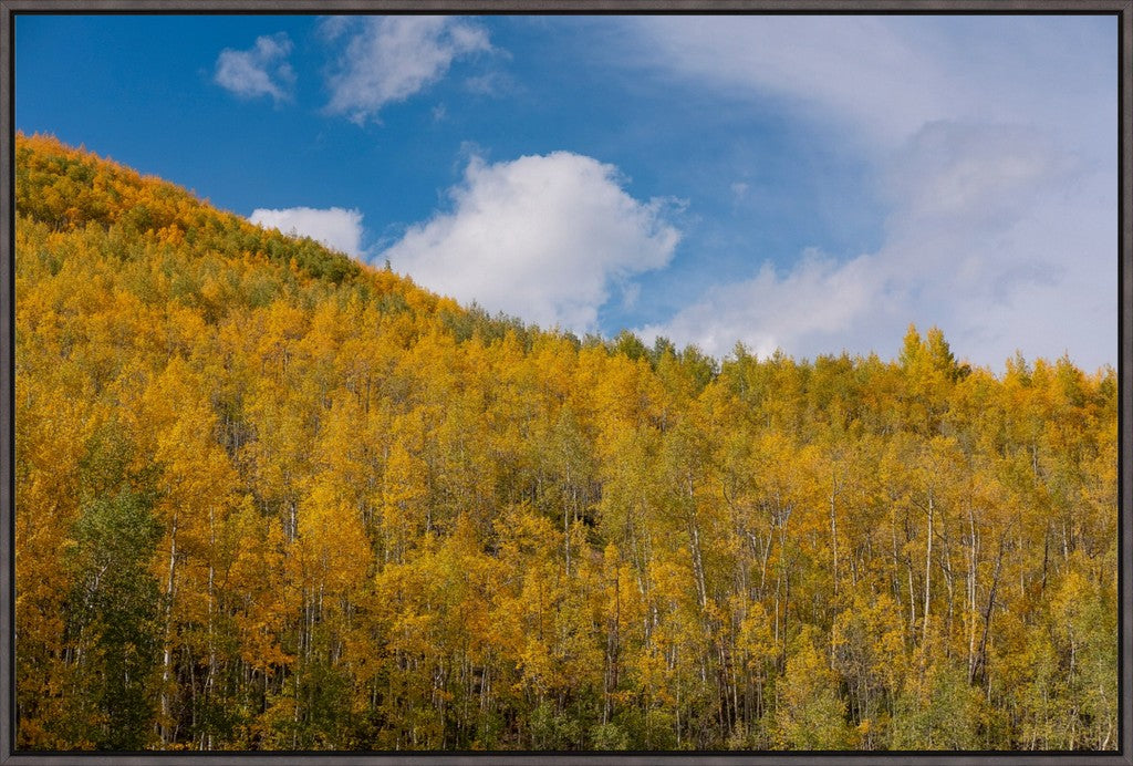 Golden Slopes