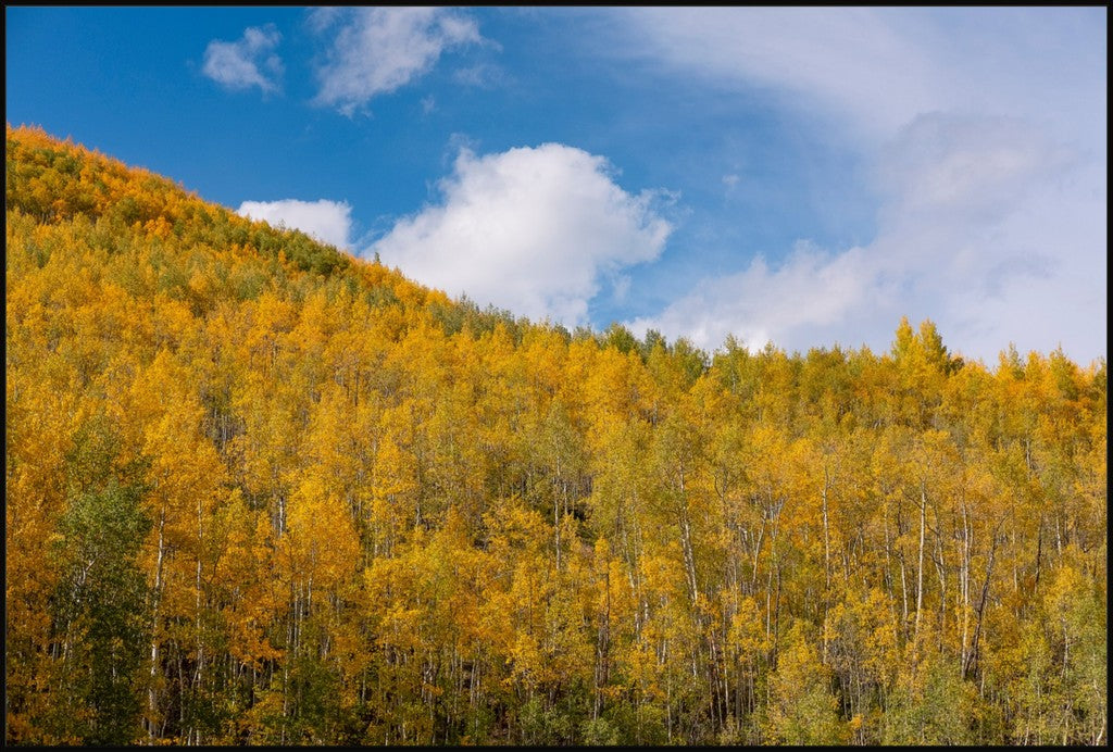 Golden Slopes