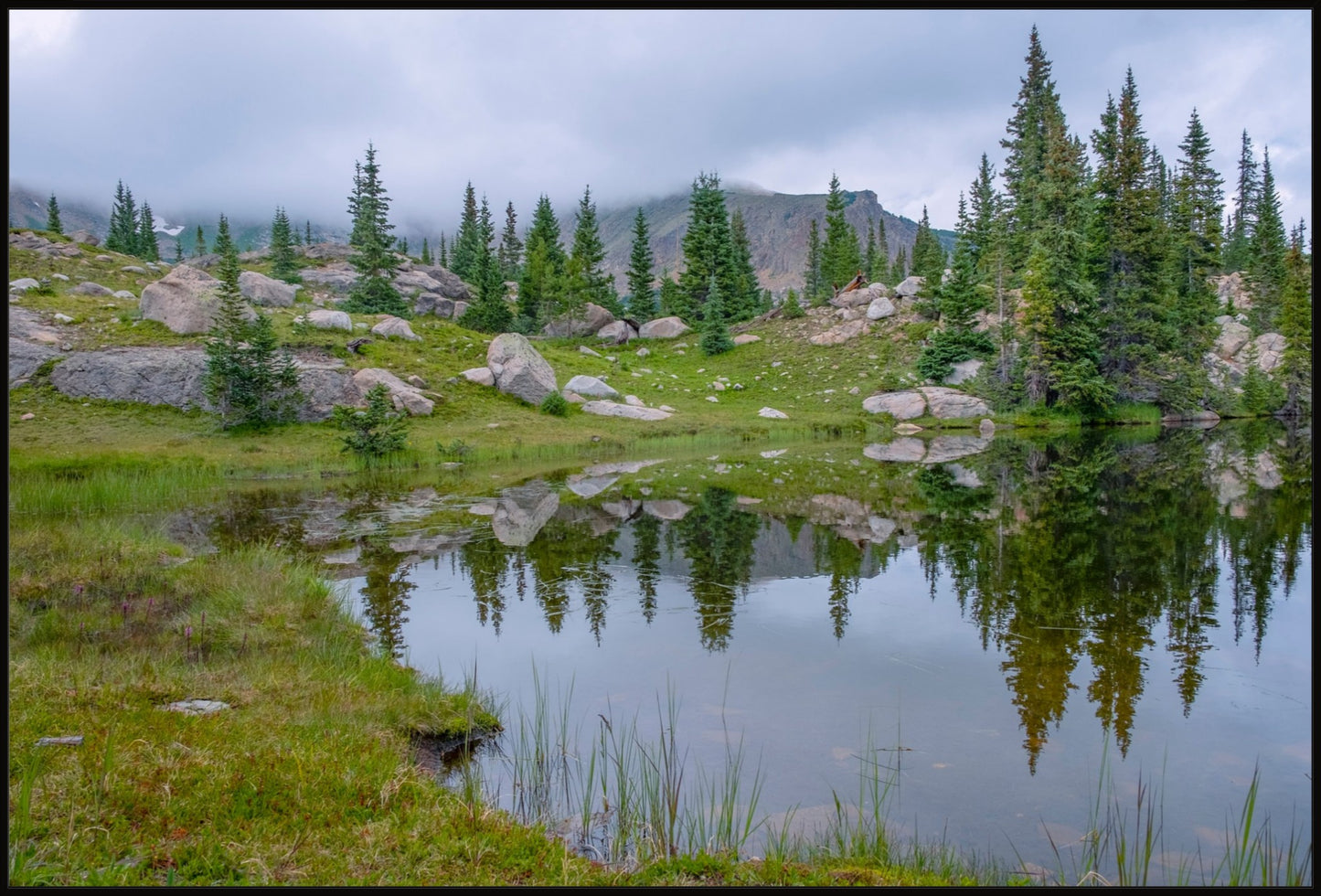 Trail Reflections