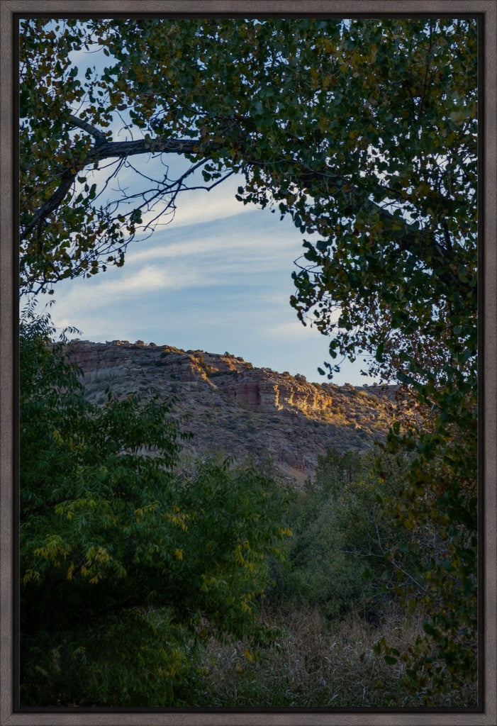 First Light on the Canyon Walls