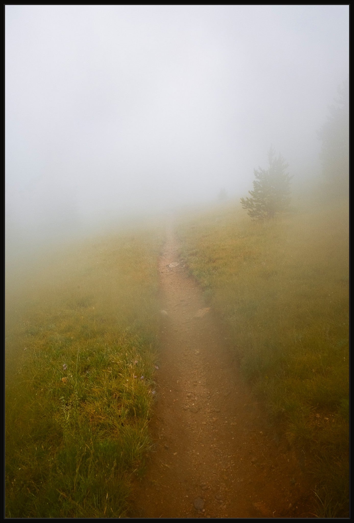 Late August Fog