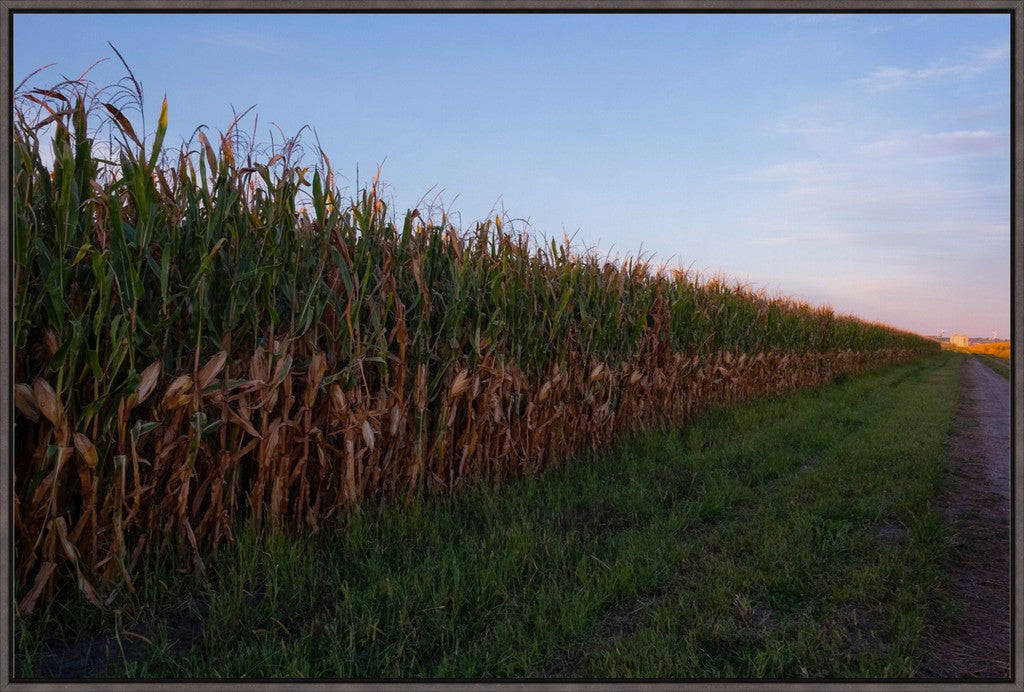 Land of the Tall Corn II