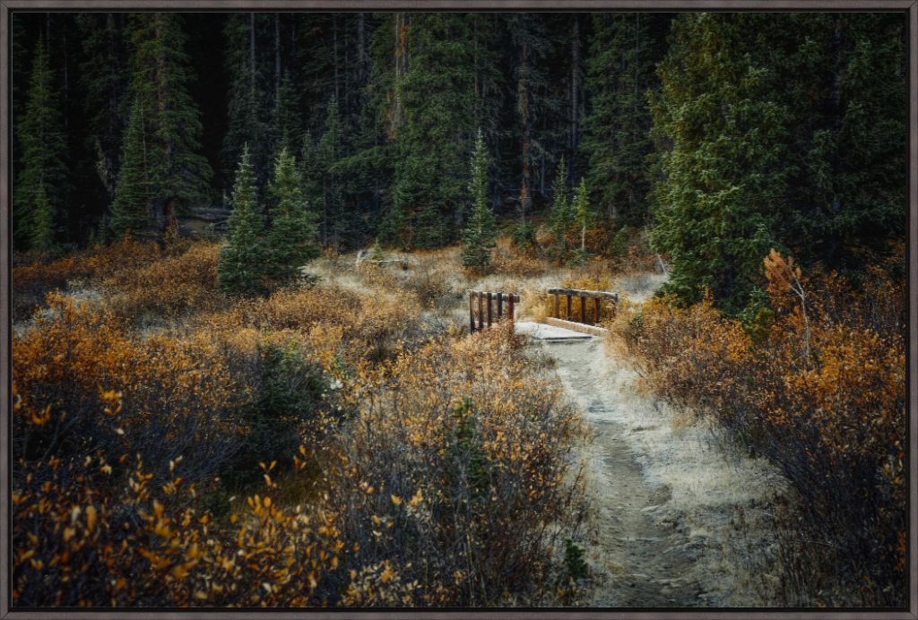September Frost