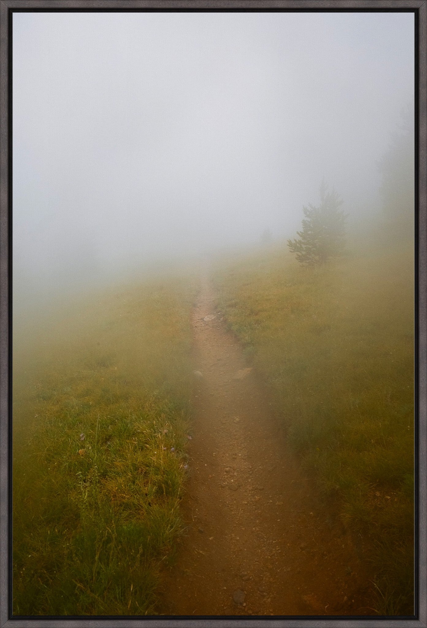 Late August Fog