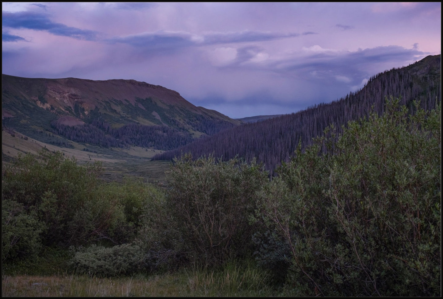 Violet Sunset I