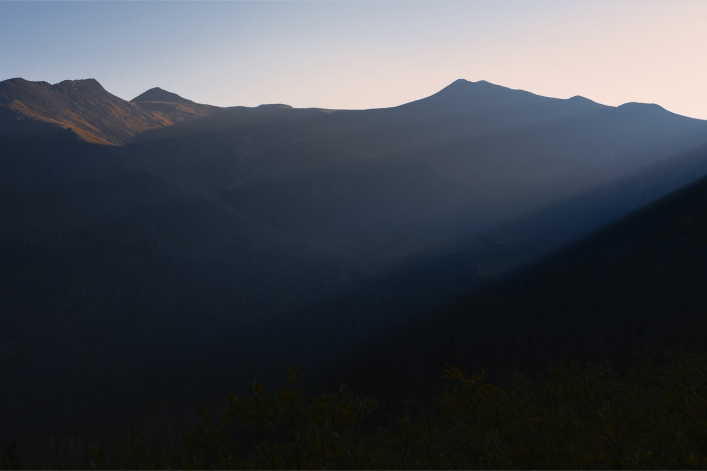 Soft Morning Light