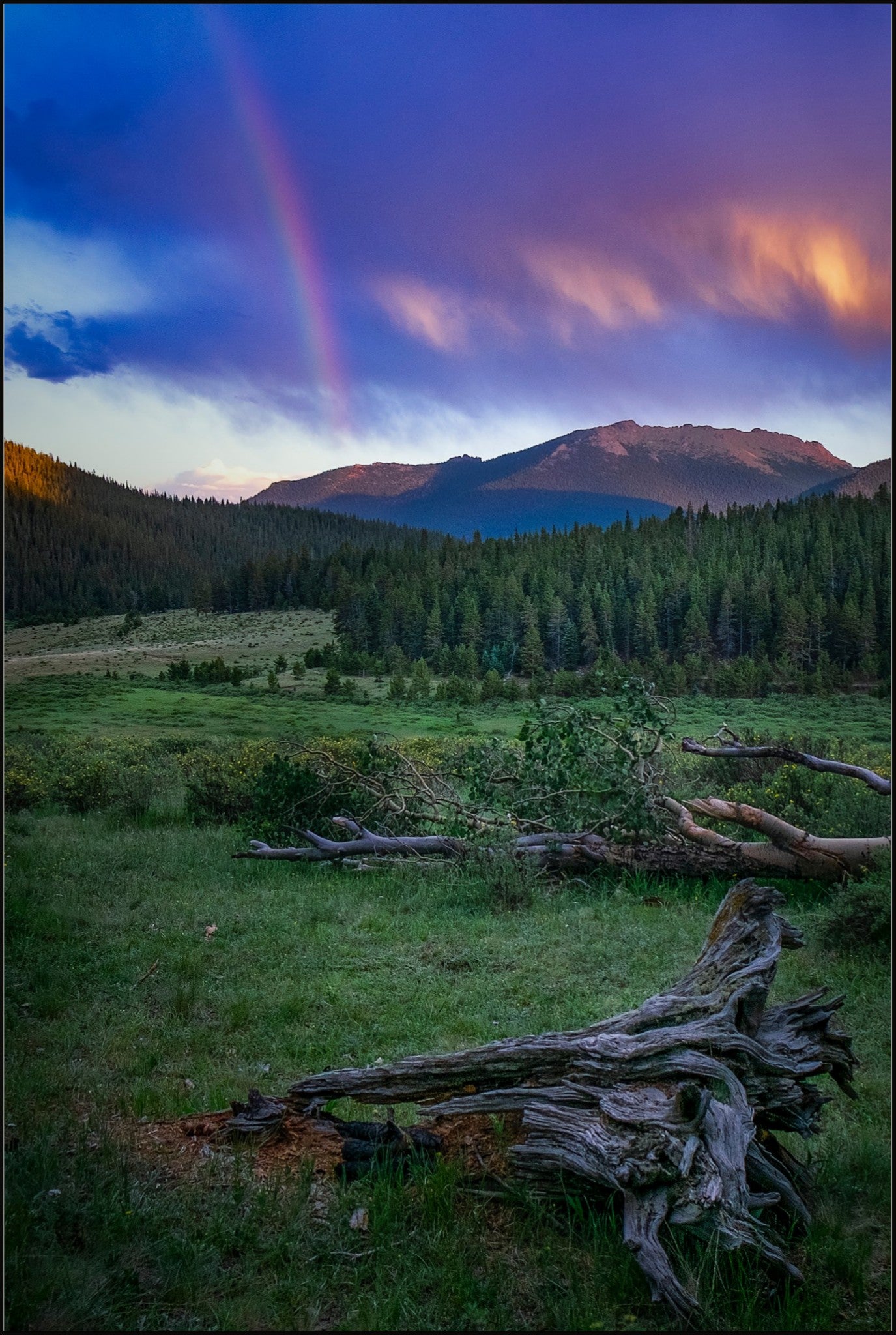 Rainbow on the Mountain IV