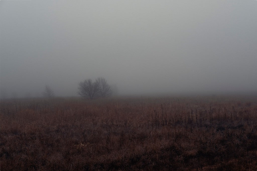 West Texas Winter Fog - 3