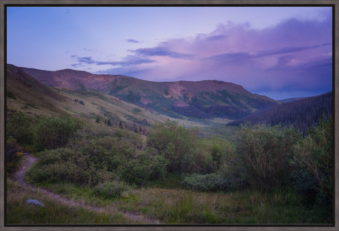 Violet Sunset II