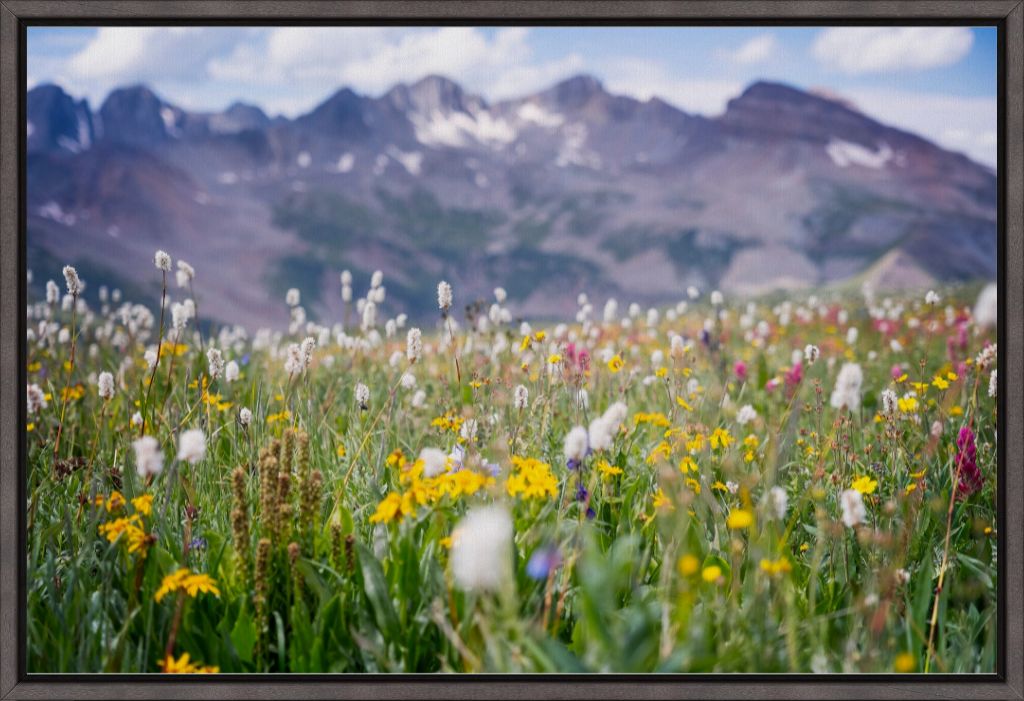 Gold at the End of Indian Trail Ridge