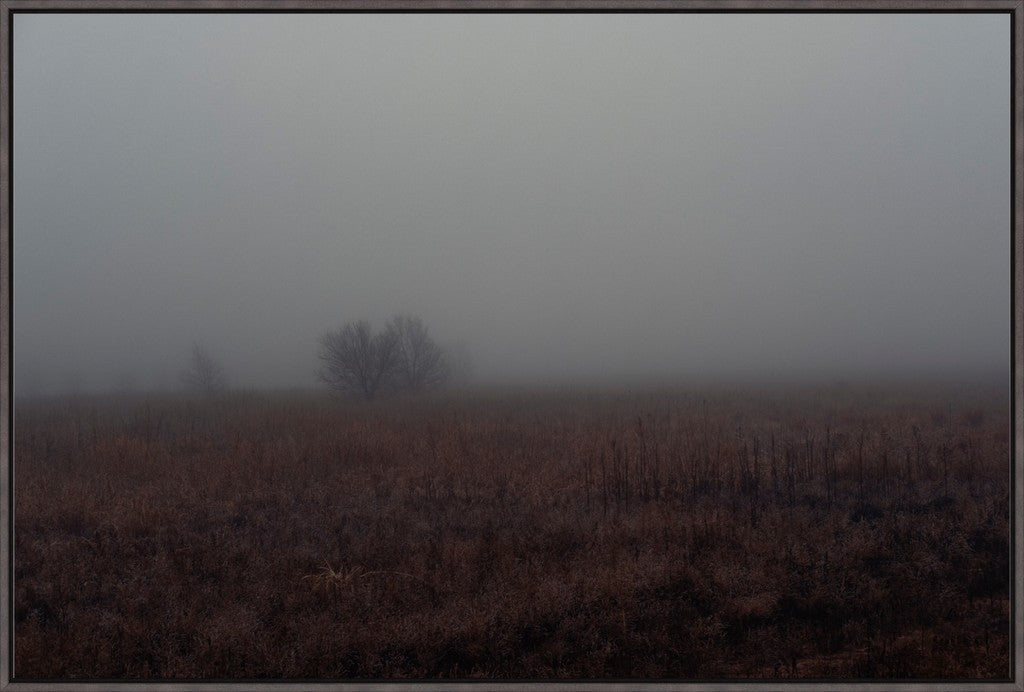 West Texas Winter Fog - 3