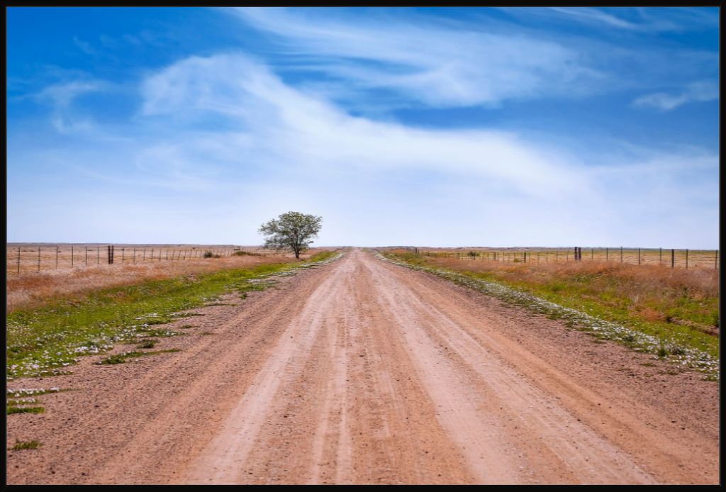 West Texas Farm Road in Summer