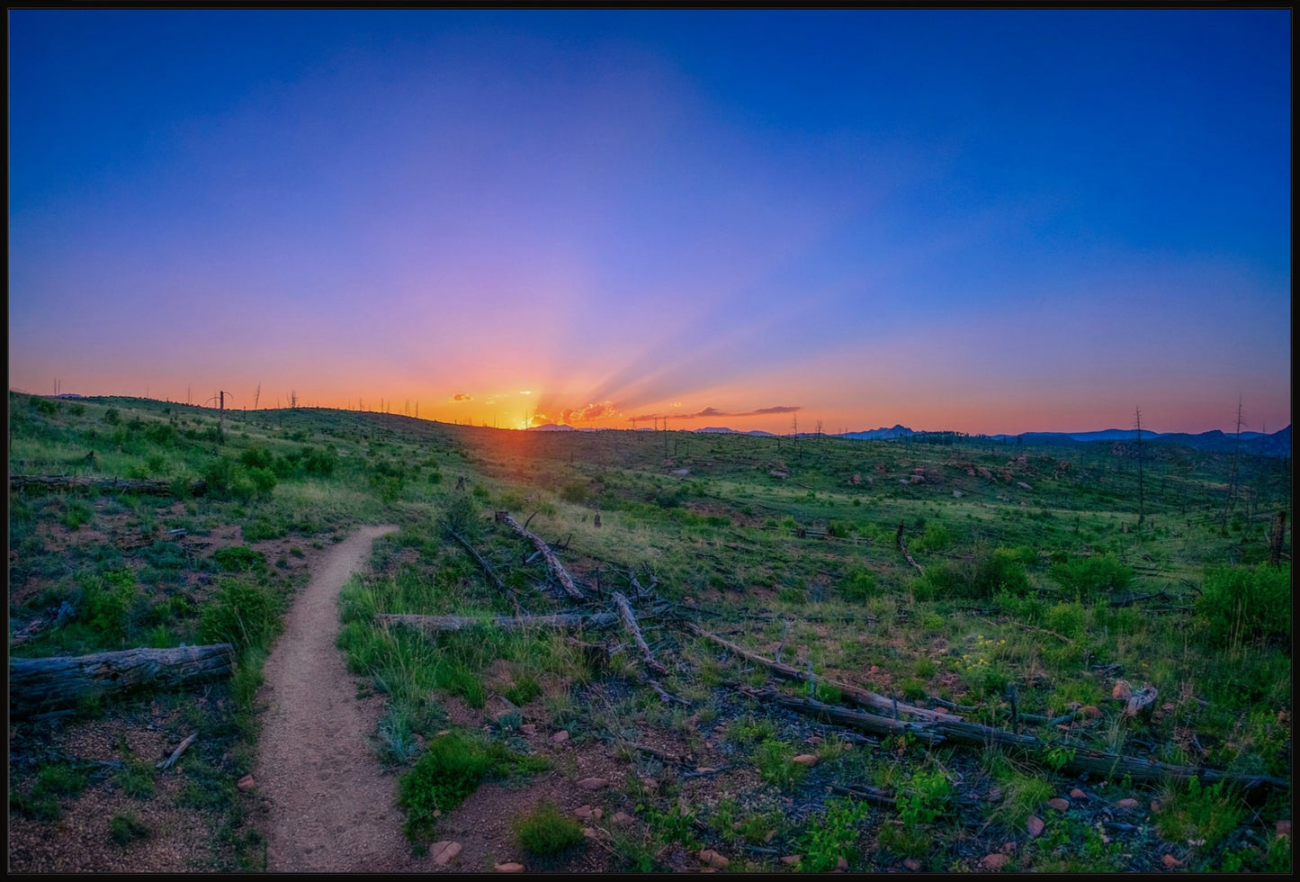 Burn Area Sunset