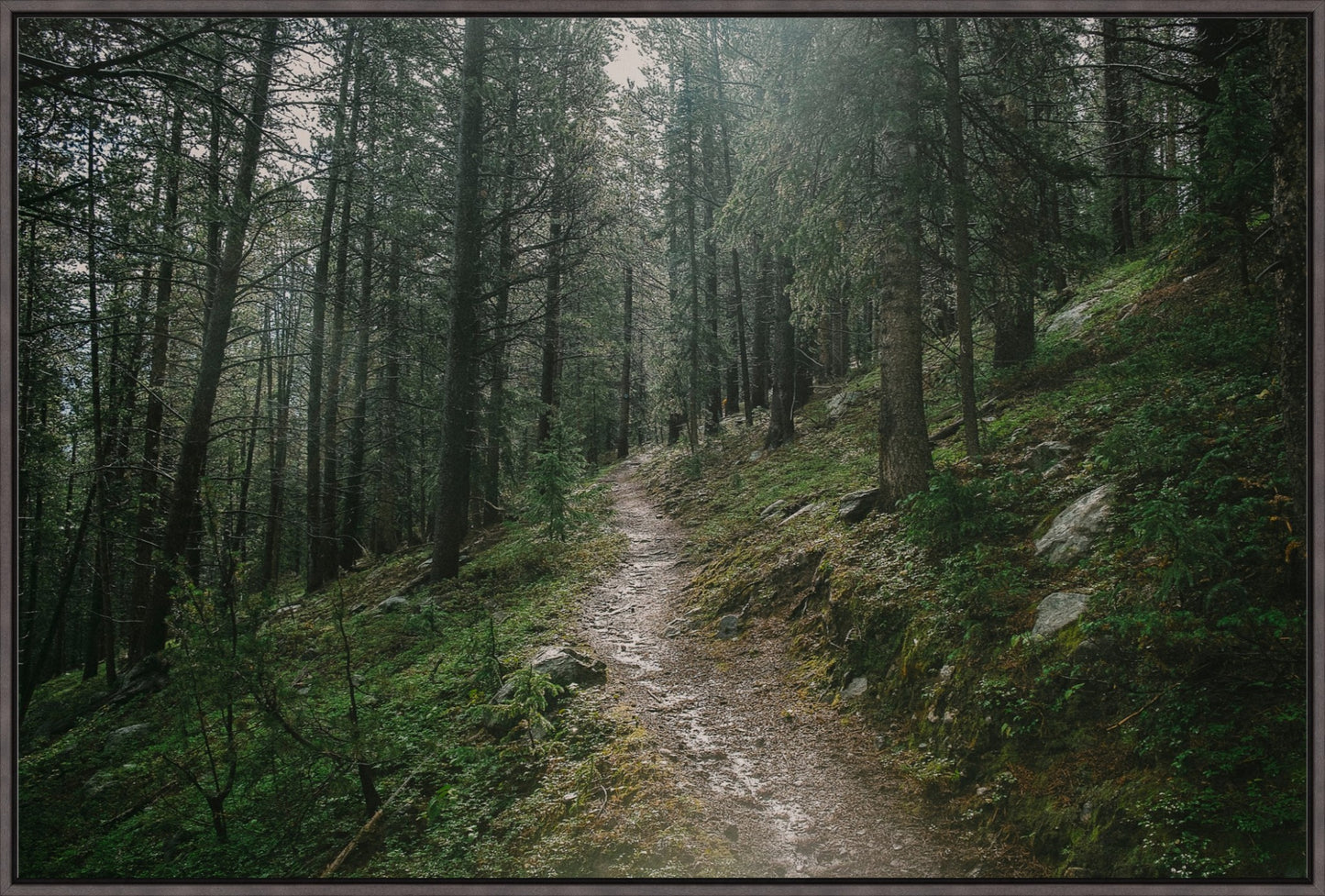 Deep Wilderness