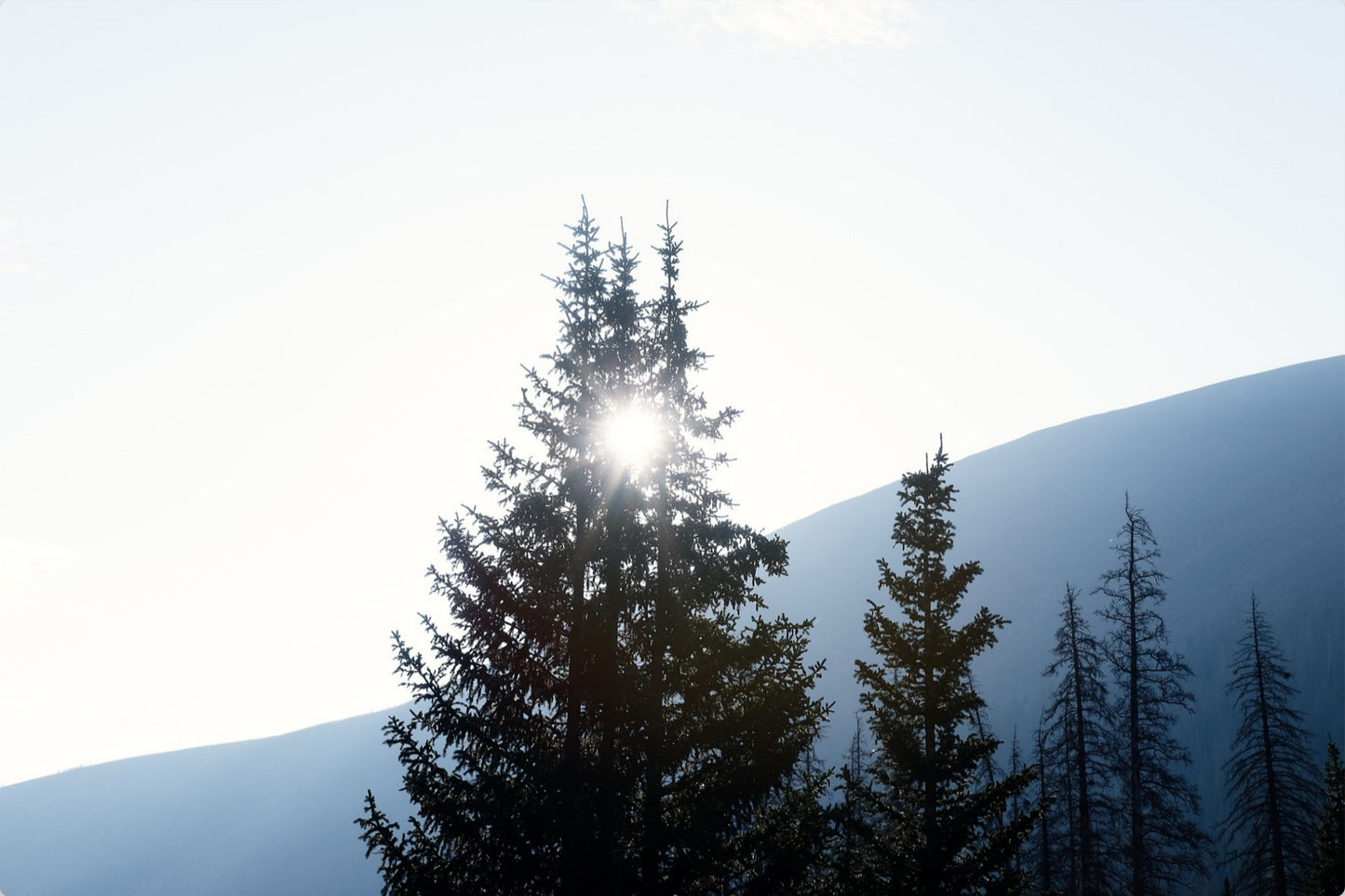 Angles of Light