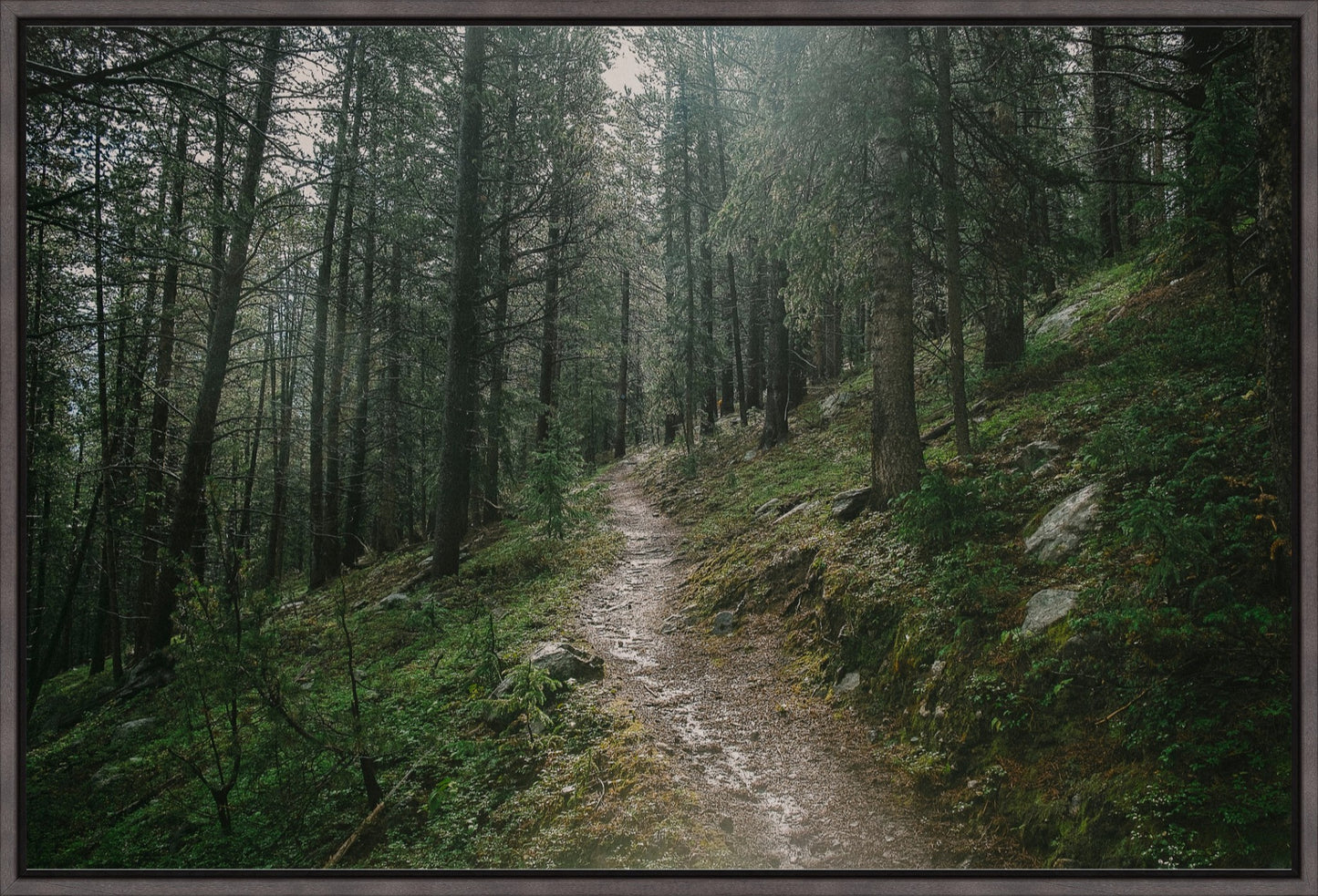 Deep Wilderness