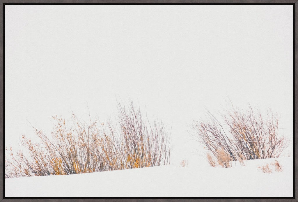 Fire & Snow