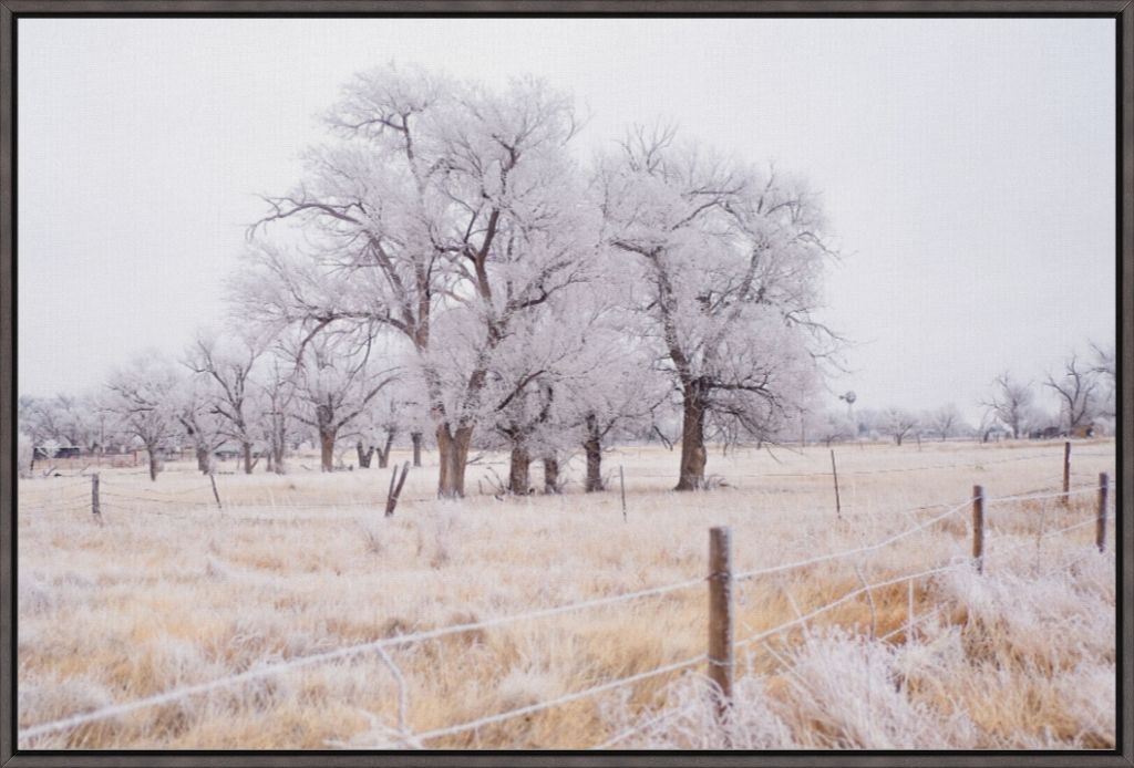 Frozen Enchantment II