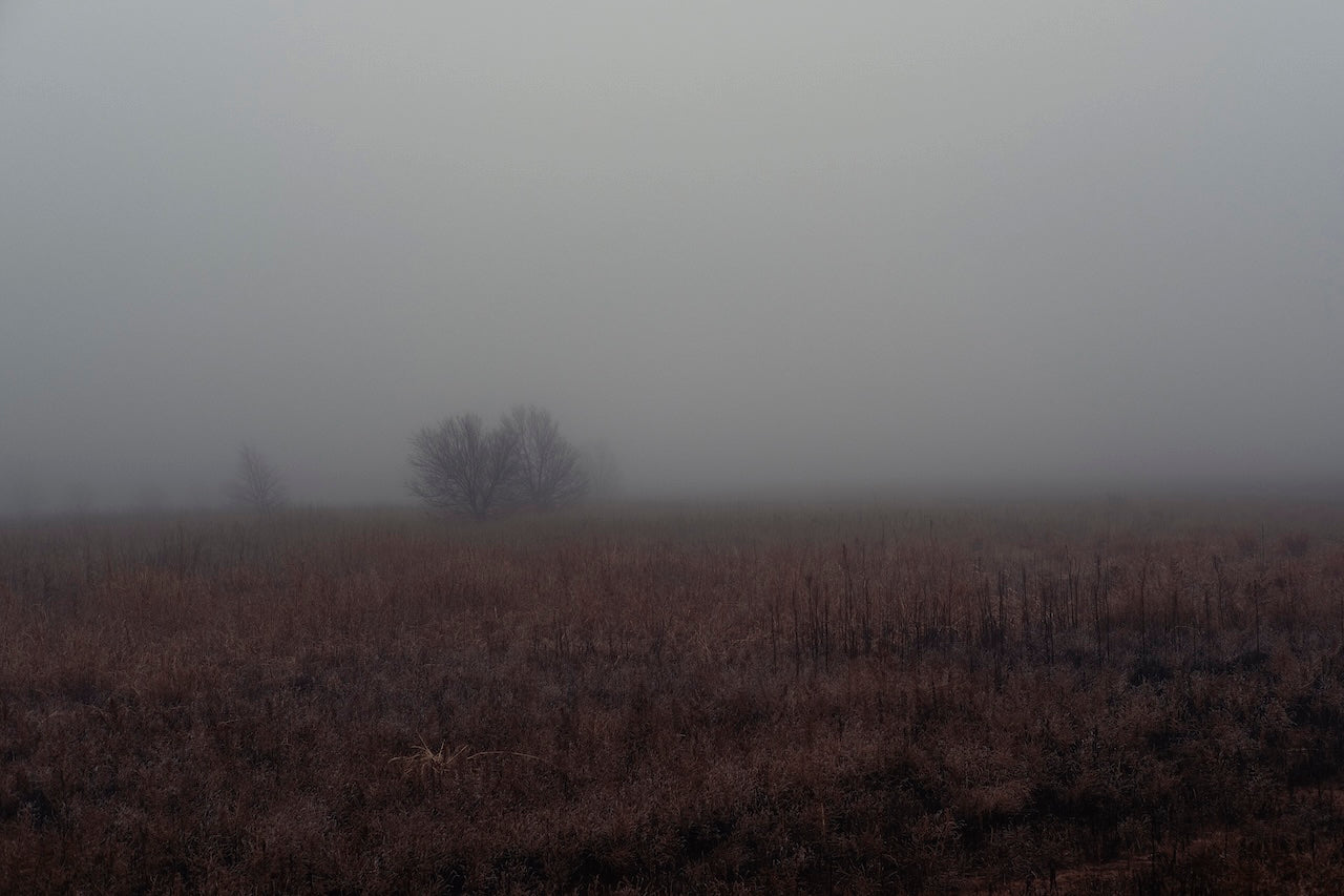 West Texas Winter Fog - 3