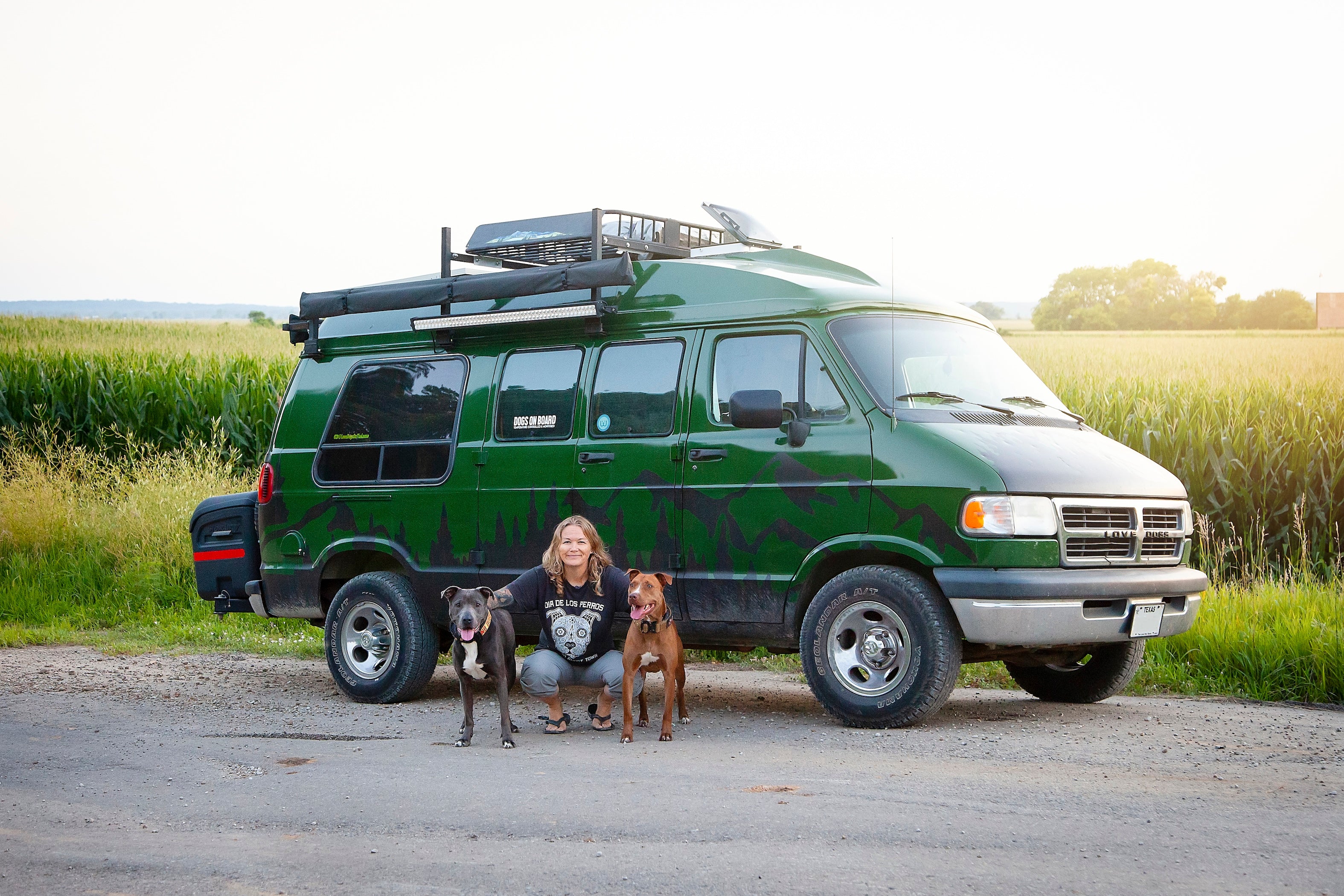 Person with two dogs standing in front of a green van in a rural setting