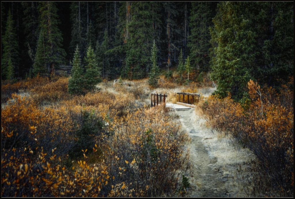 September Frost