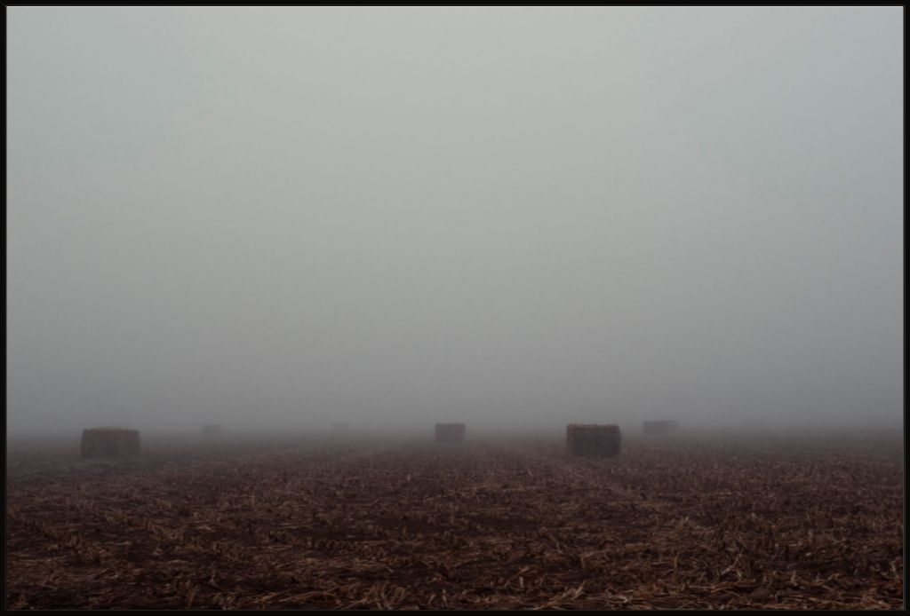 West Texas Winter Fog - 4