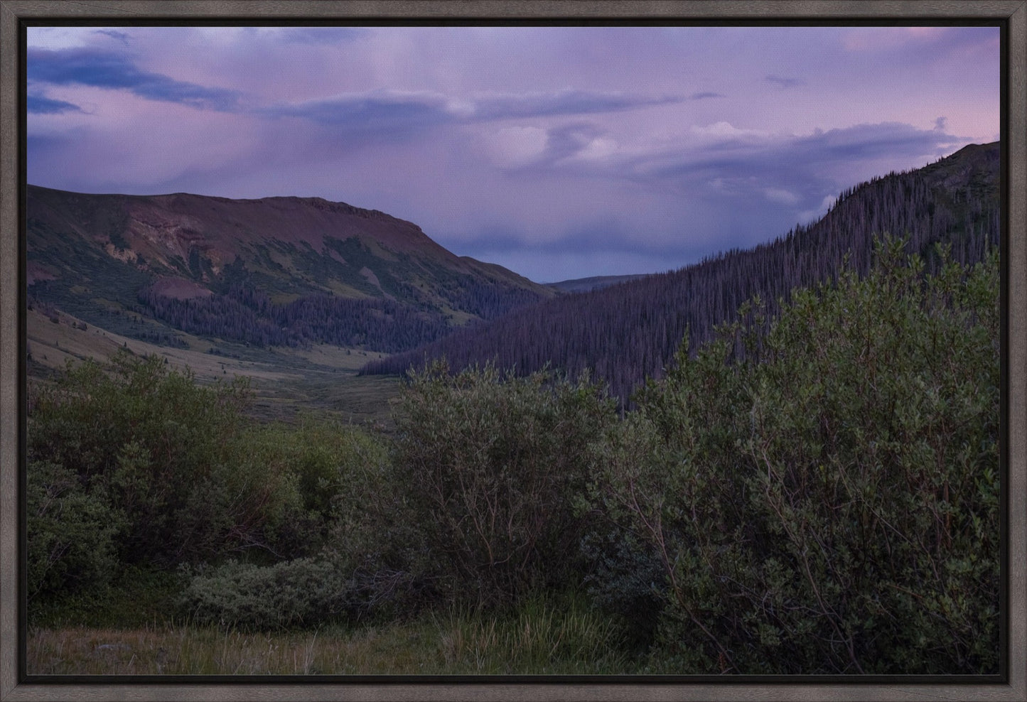 Violet Sunset I