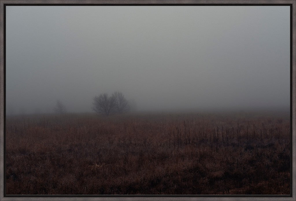 West Texas Winter Fog - 3