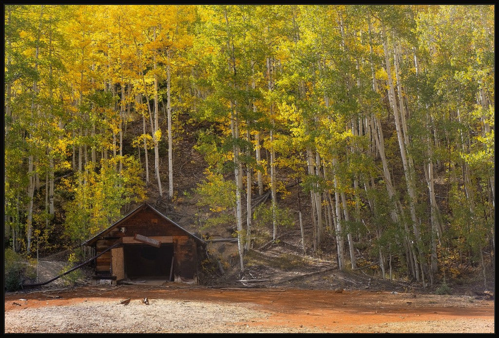 Mining Gold