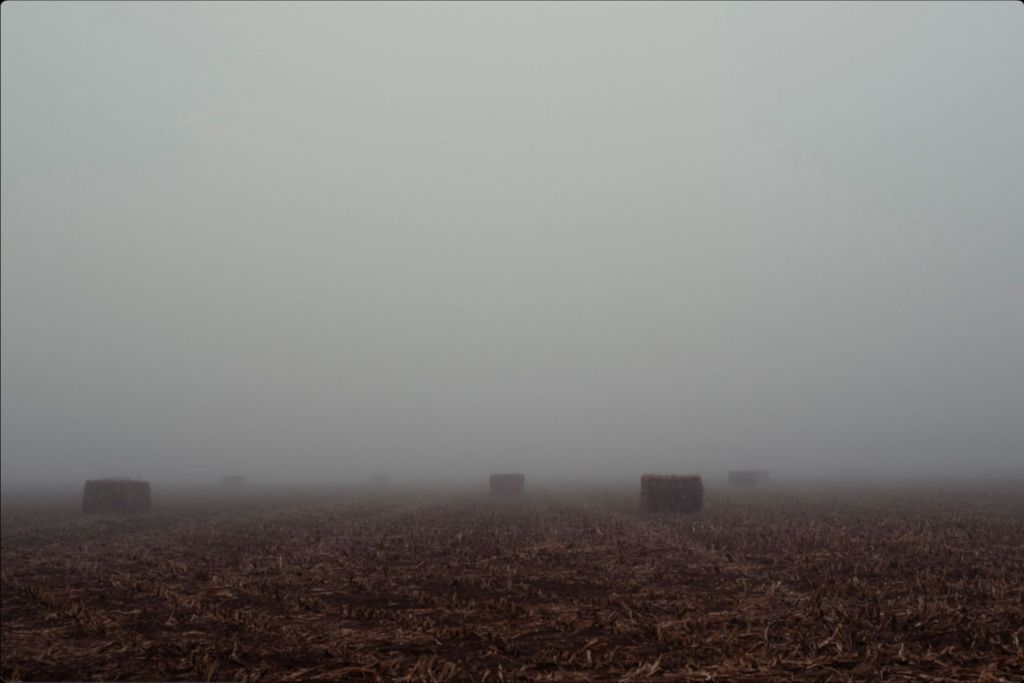 West Texas Winter Fog - 4