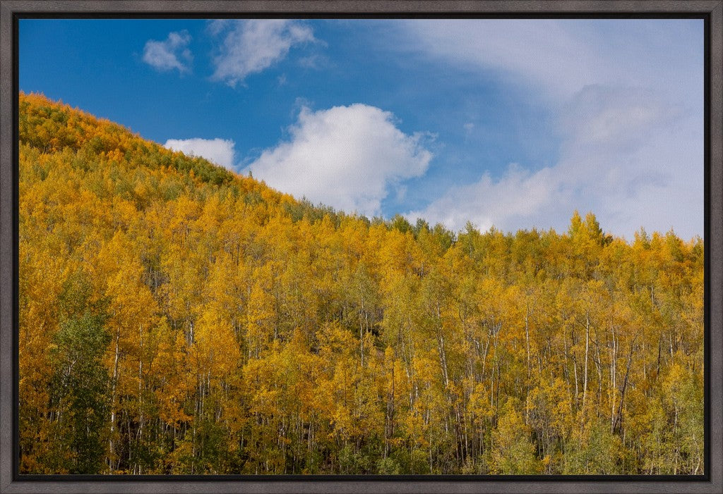 Golden Slopes