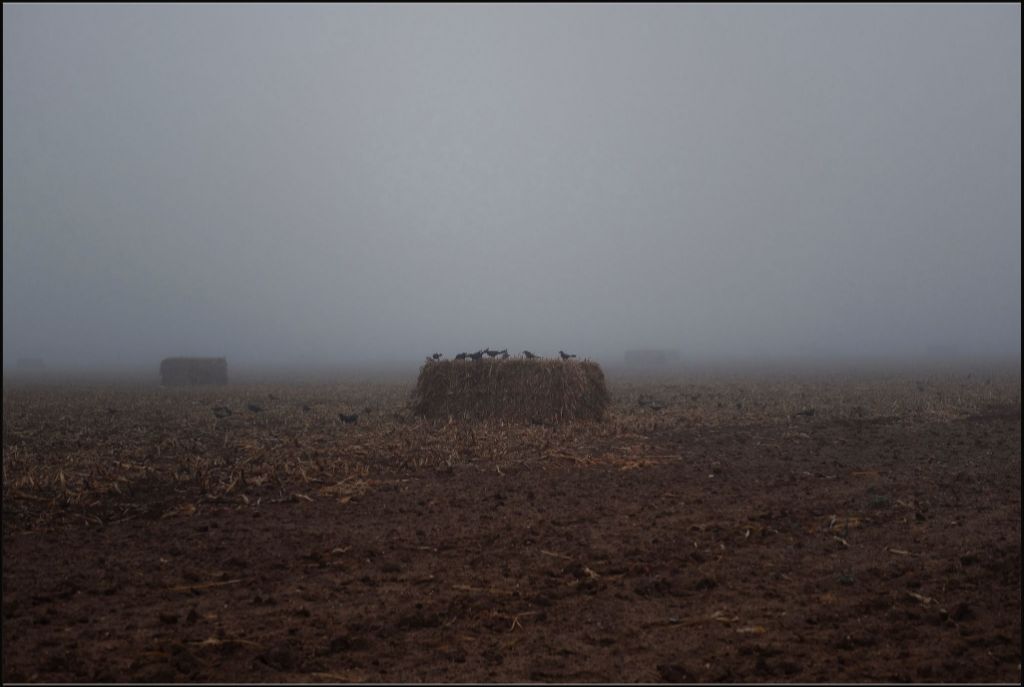 West Texas Winter Fog - 7