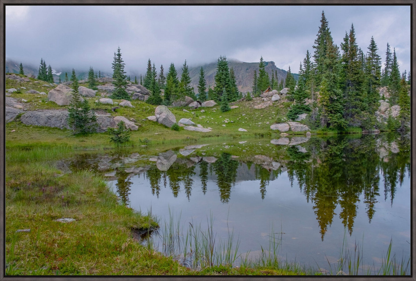 Trail Reflections