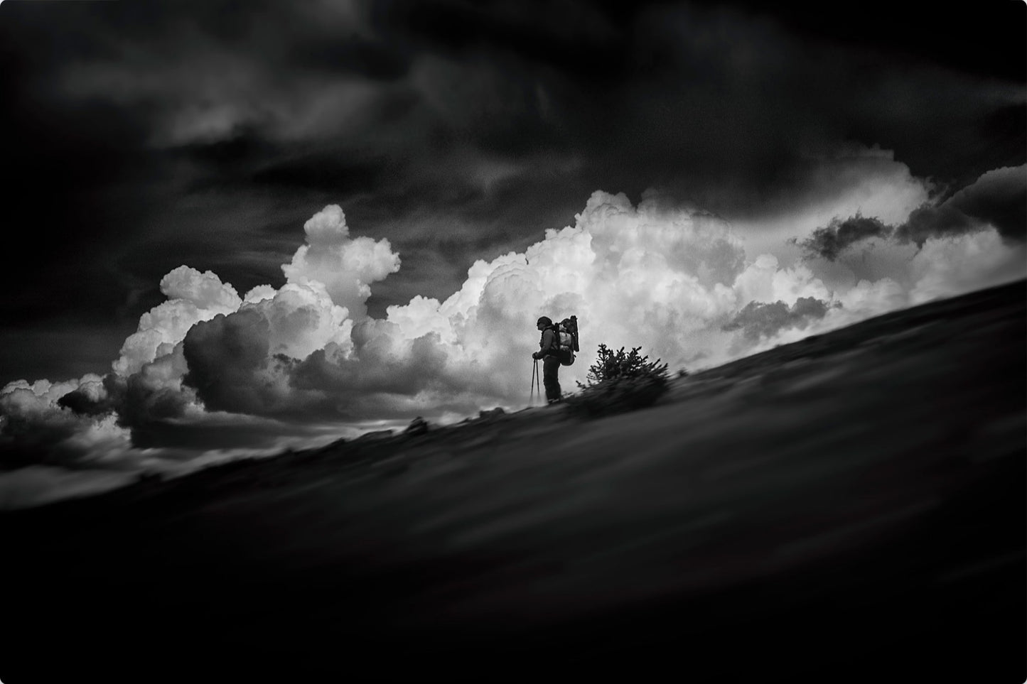 The Hiker