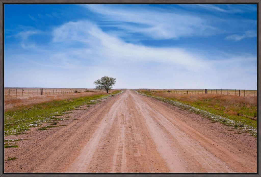 West Texas Farm Road in Summer