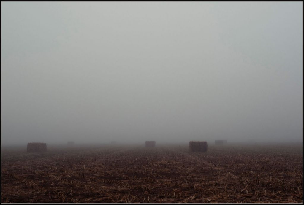 West Texas Winter Fog - 4