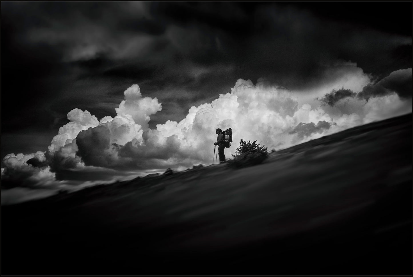 The Hiker