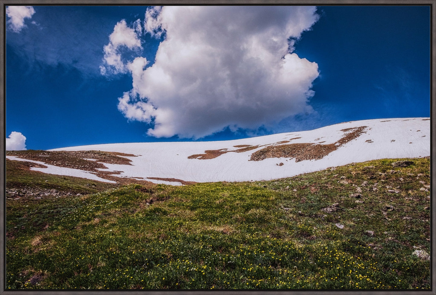 Summer Snow