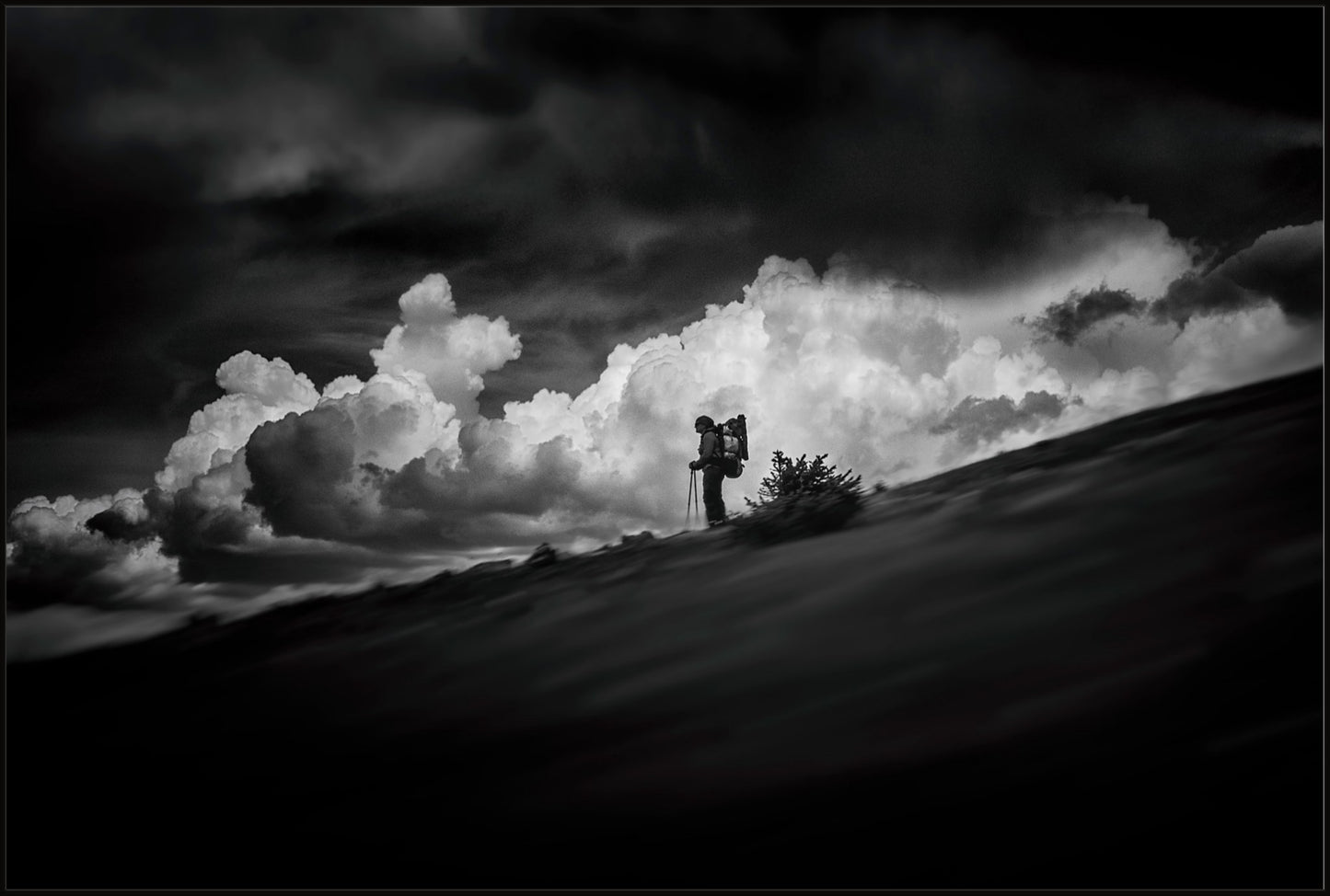 The Hiker