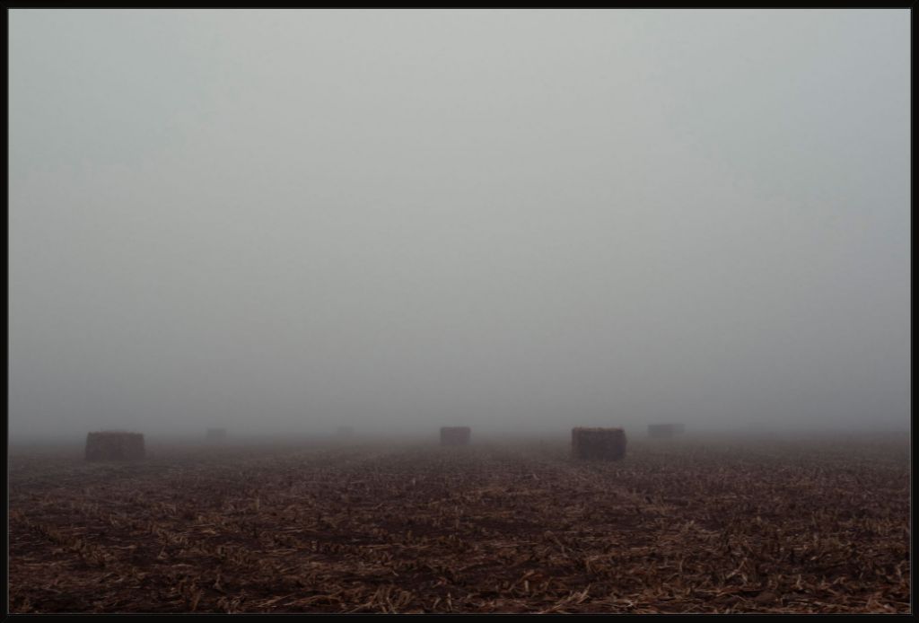 West Texas Winter Fog - 4