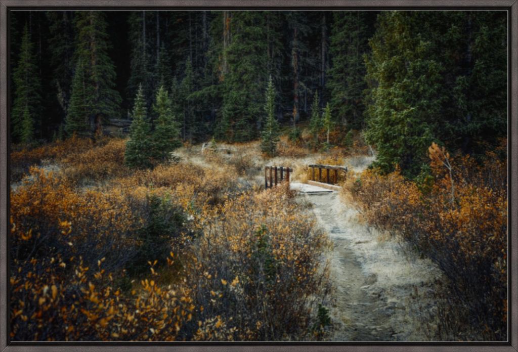 September Frost