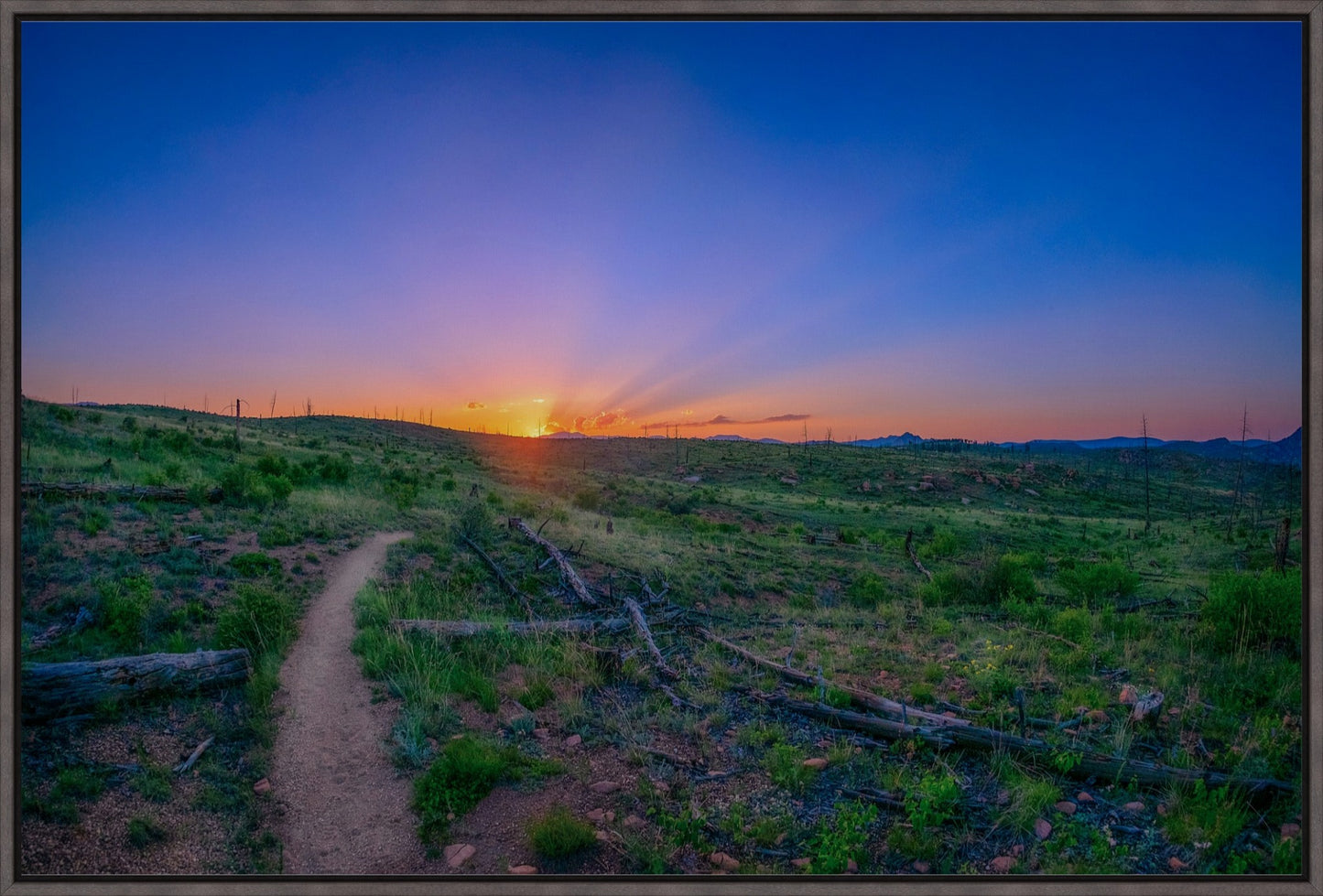 Burn Area Sunset