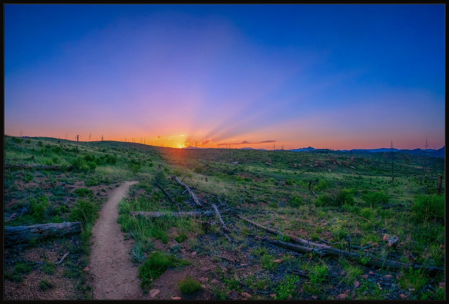 Burn Area Sunset