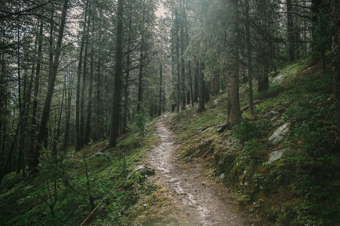 Deep Wilderness