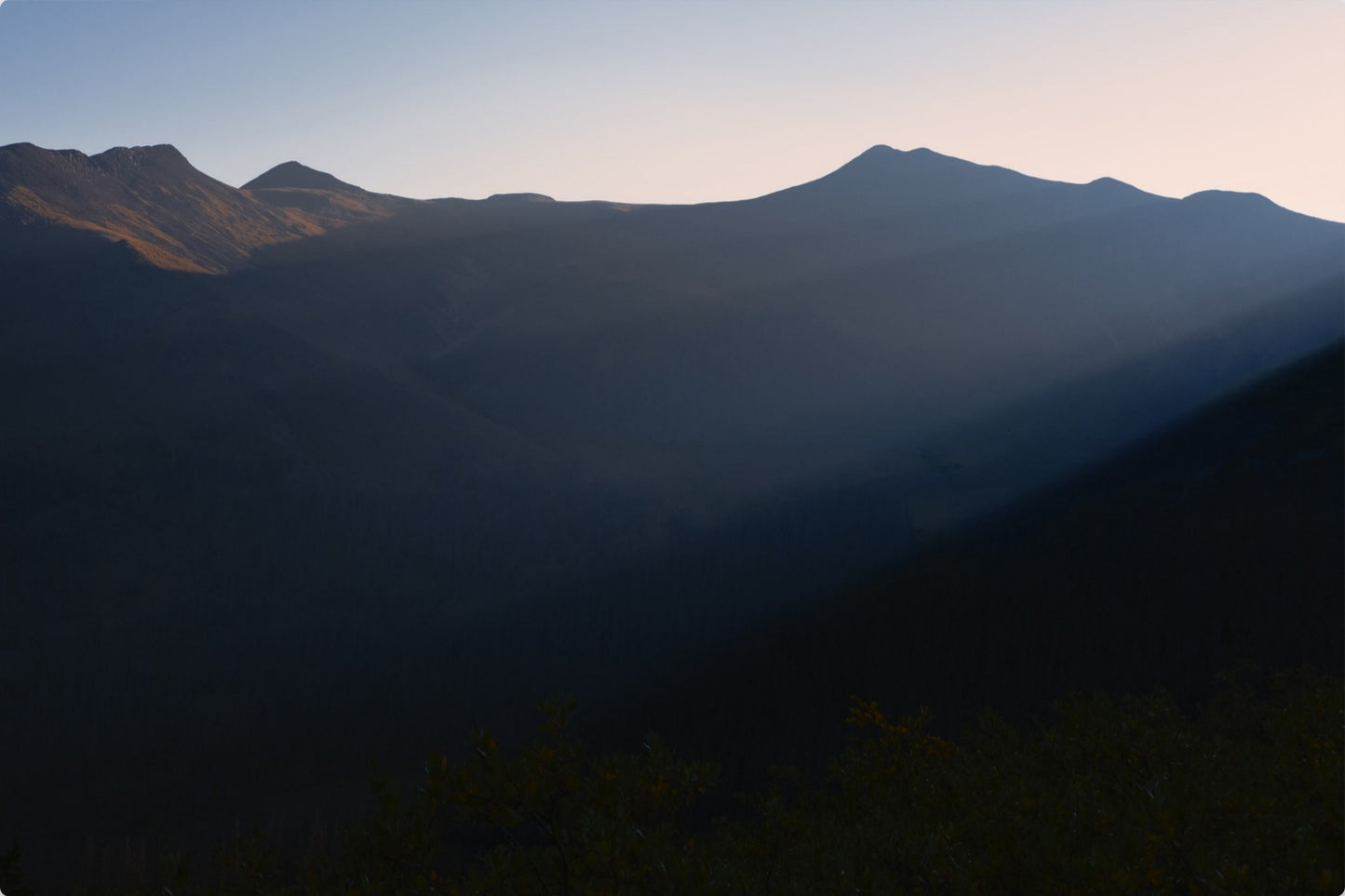 Soft Morning Light