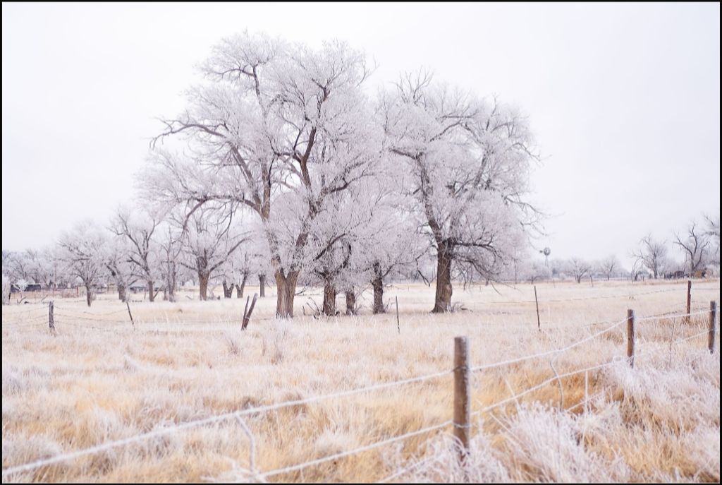 Frozen Enchantment II