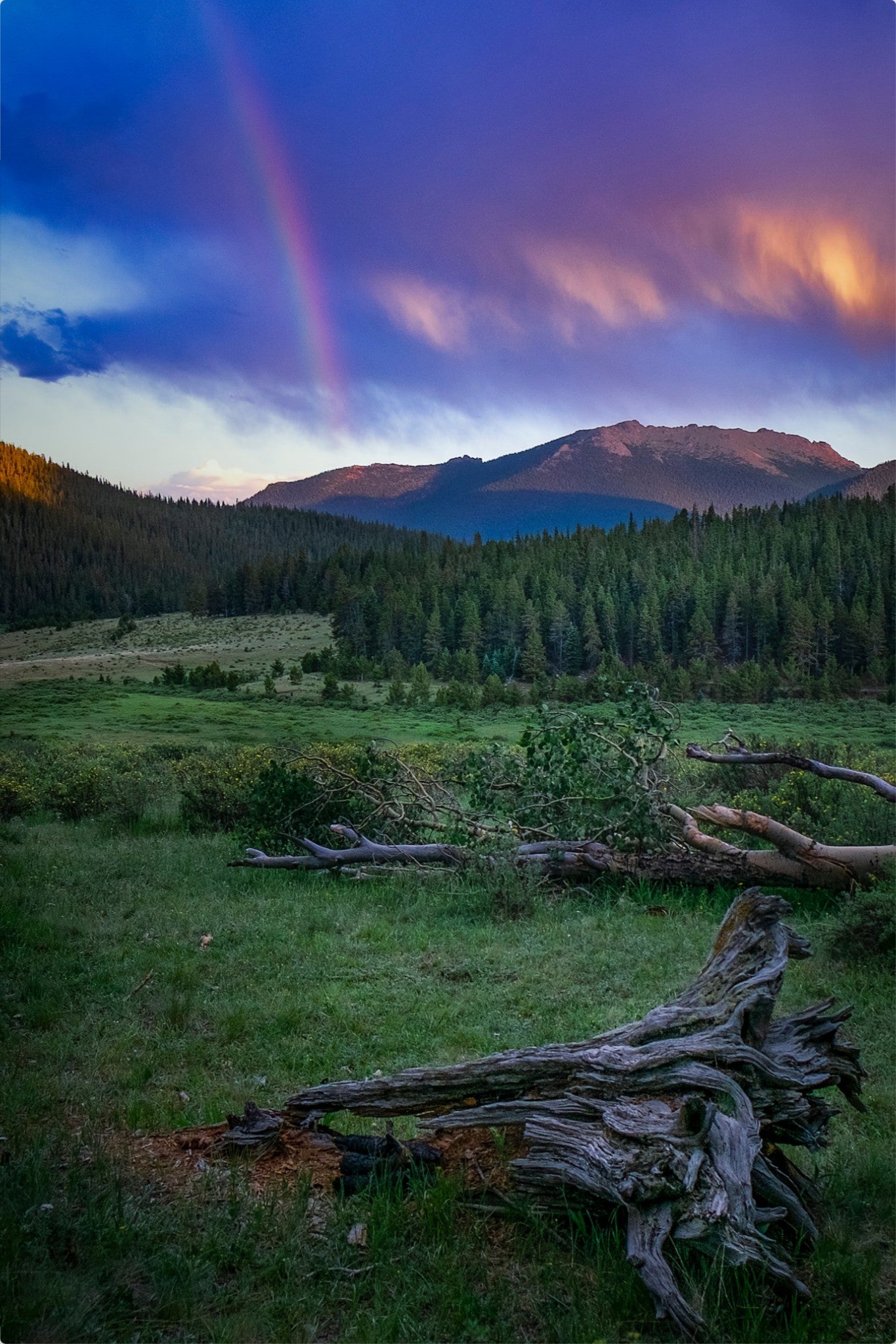 Rainbow on the Mountain IV