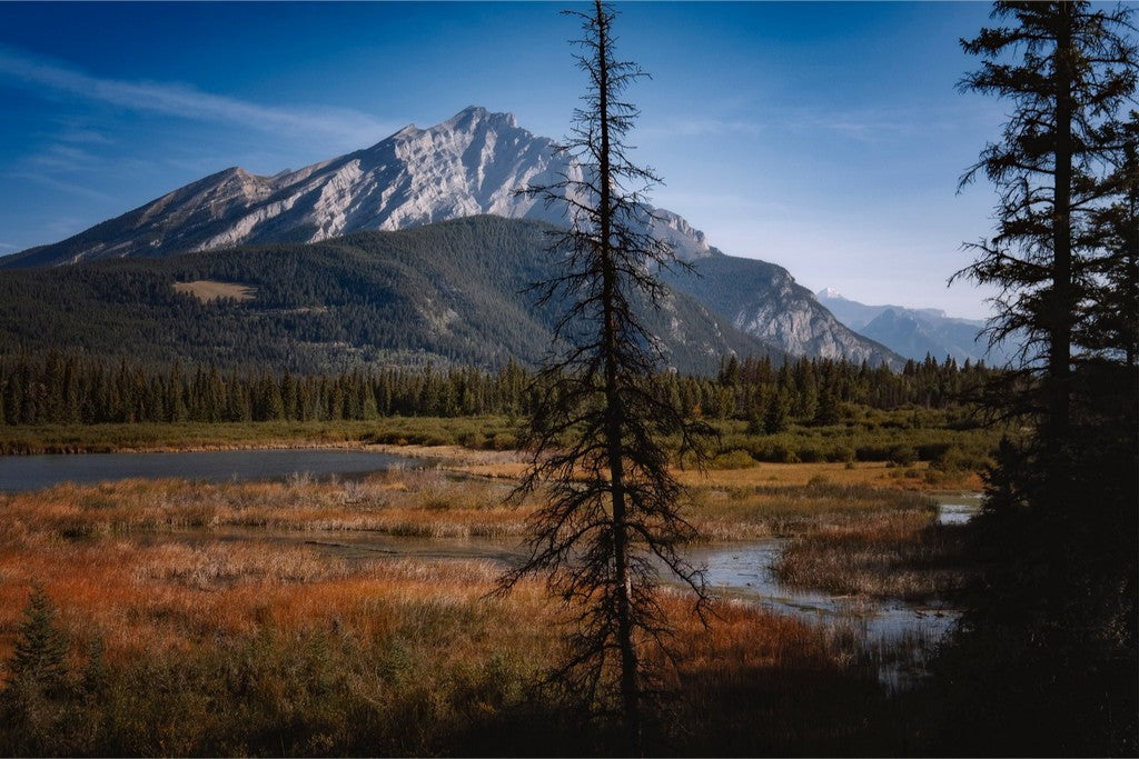 Alberta Wilderness Scene II