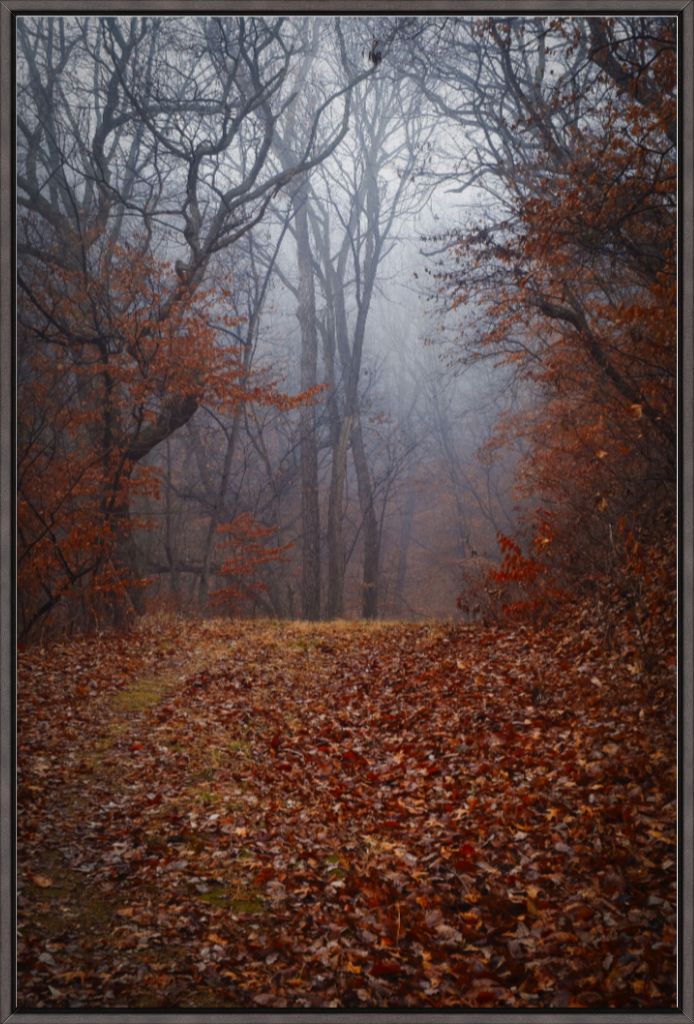 NWMO FOG 03